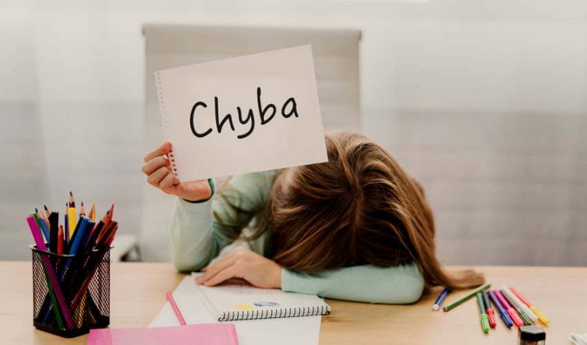 Chyba a Profesor Život